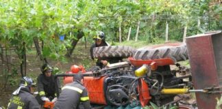 Infortuni in agricoltura: -11% in 5 anni