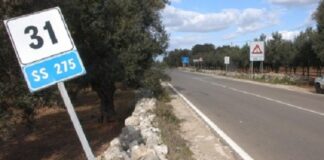 Rifiuti tombati sul tracciato della 275