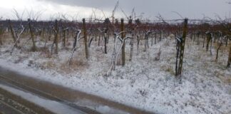 Meteo: ancora nevicate lunedì 9 gennaio