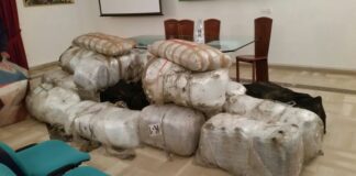 Sequestrati 510kg di marijuana del valore di 5 mln di euro