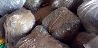 Maxi sequestro di marijuana sulle coste salentine