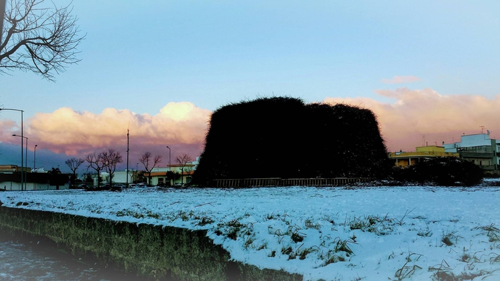 Focara di Novoli innevata