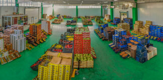 Ortofrutta pugliese leader sui mercati internazionali