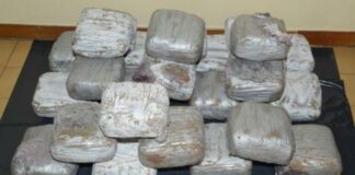 Fermato corriere delle droga con 1 t di marrijuana