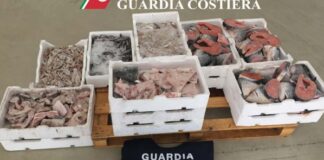 Pesca di frodo e prodotti ittici venduti illegalmente