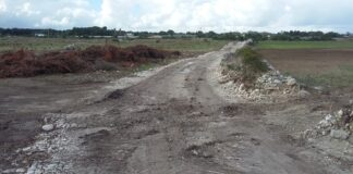 Strade abusive in zona vincolata in località Ramanno