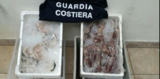 Controlli della Guardia Costiera nelle pescherie