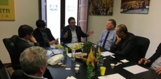 Xylella: dalla Regione 1 mln di euro per indennizzi