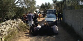 Gasdotto Tap, al via l’espianto di ulivi