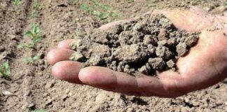 Coldiretti: SOS siccità, pioggia dimezzata nel 2017