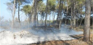 Colto in flagrante per tentato incendio