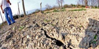 Coldiretti, Caldo: -25% pioggia giugno porta siccità e incendi