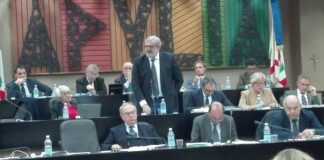 Consiglio Puglia, sì legge partecipazione