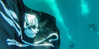 Tap: Sea Shepherd, posidonia in pericolo