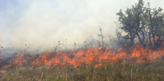 Roghi estivi: Lecce la provincia più colpita con 1617 incendi