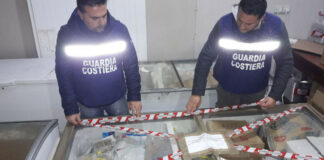Sequestrati 3 quintali di pesce nel Salento dalla Guardia Costiera