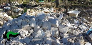 Carcasse di cani in un congelatore e smaltimento illecito di rifiuti: denunciato 58enne