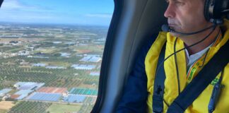 Xylella, la strage degli ulivi vista dall’alto: stamane il volo sui 165 km di area infetta