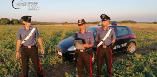 Sfruttava migranti per raccolta delle angurie: arrestato imprenditore