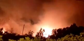 Vasto incendio tra Tricase Porto e Marina di Andrano: distrutto ex camping