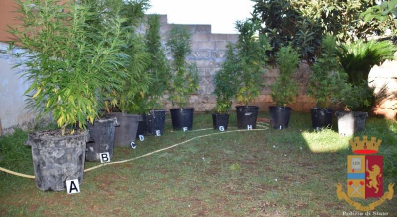 polizia droga