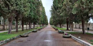 Bandi PNRR “Parchi e Giardini”: il progetto di riqualificazione del Cimitero Monumentale