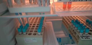Coronavirus, impennata contagi in Puglia: 13 nuovi casi, focolaio nel foggiano