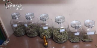 Serra di marijuana sul terrazzo: arrestato incensurato