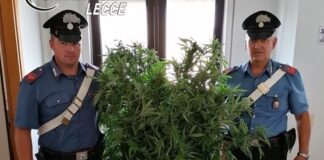 Piccola centrale della droga ad Ugento: due arresti