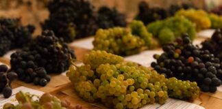 Le varietà antiche del Salento al centro della Giornata Mondiale della Biodiversità