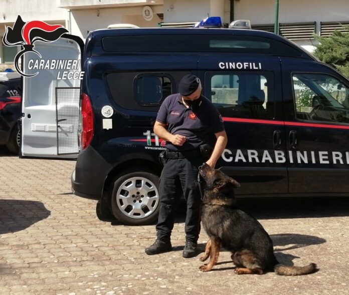 FAIDER A CARMIANO 2