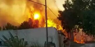 In fiamme il parco naturale di Porto Badisco: persone in fuga da case e spiagge