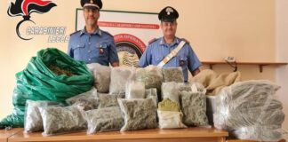 Scoperta maxi piantagione di marijuana a Novoli: arrestato 37enne