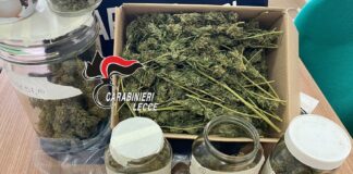 Dosi e piante di marijuana in casa: arrestato 32enne