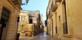 Uccide un gatto nel centro storico di Lecce: arrestato
