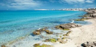 Febbre per un virus in mare, a Gallipoli l’allarme dei ragazzi corre sui social