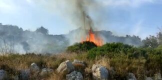 Incendio lungo la litoranea tra Santa Cesarea e Castro, in fiamme 40 ettari