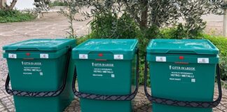 Vetro e metalli, ritiro porta a porta solo in pattumelle verdi