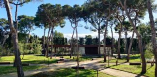 Parco del Galateo, dopo la tromba d’aria nuove rilevazioni sulla stabilità degli alberi