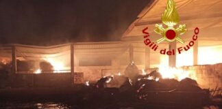 Incendio in azienda zootecnica di Corigliano d’Otranto, morte 18 pecore
