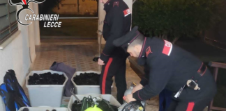 Migliaia di ricci sequestrati dai Carabinieri a Porto Cesareo