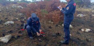 Denunciato agricoltore piromane, ha provocato incendi per 32 ettari