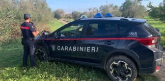 Operazione “Artemis” dei Carabinieri Forestali, arrestato bracconiere a Copertino