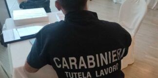 Controlli a largo raggio sulla salute e il lavoro sommerso, contestate ammende per circa 13mila euro