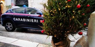 Furto dell’Albero di Natale, quattro giovani studenti nei guai