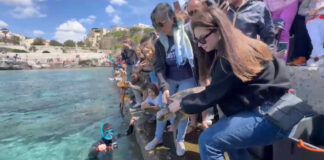 A Castro tornano in mare 4 tartarughe salvate da Plastic Free Onlus