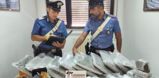 Blitz antidroga nel Sud Salento, il georadar dei Carabinieri smaschera i nascondigli dei criminali