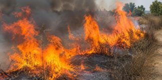 Anziano colto da malore mentre dà fuoco alle sterpaglie: morto carbonizzato