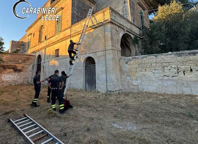 fCarabinieri