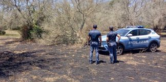 Identificato e denunciato il presunto autore del danneggiamento di 20 alberi in un uliveto